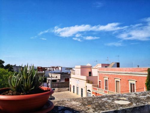 a potted plant sitting on top of a balcony at Le Strazzigne in Marittima