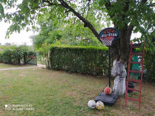 a basketball hoop in front of a tree with a basketball at Dečiji vinogradi Belgrade, Sopot, Kosmaj in Sopot