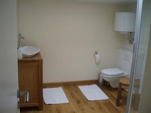 a bathroom with a toilet and a sink at Stadtferienwohnung in Teterow