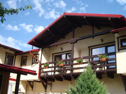 a house with potted plants on the balcony at Casa cu Flori in Buşteni