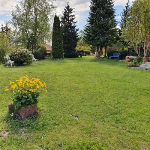 a green yard with a flower pot with yellow flowers at Finnhaus Neubauer in Elbingerode