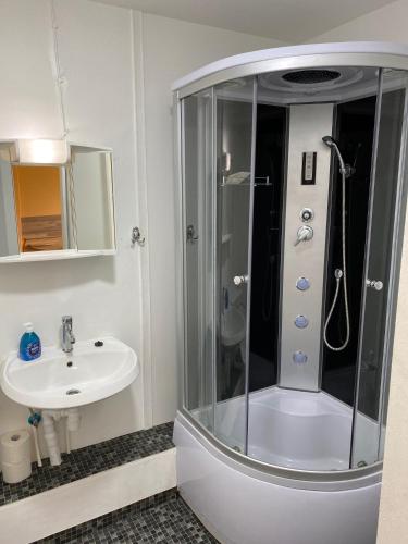 a bathroom with a shower and a sink at Zimmervermietung Deichmann in Landscheide