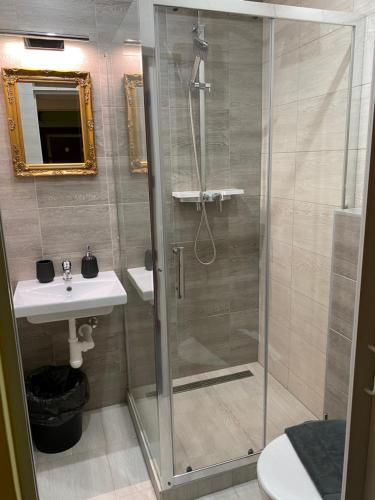 a bathroom with a shower and a sink at Pension V Pohodě in Konstantinovy Lázně