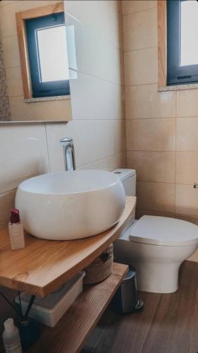 a bathroom with a sink and a toilet at Ti`Justina Country House in Rossas