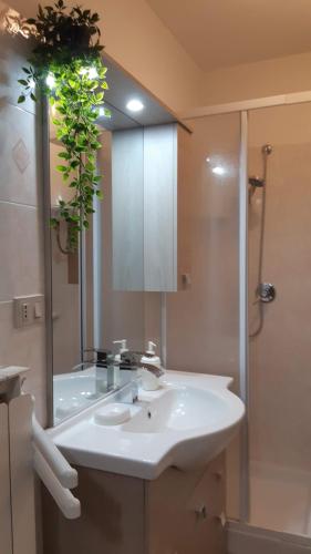 a bathroom with a sink and a shower and a mirror at Residence Fonte Eremita in Roccaraso