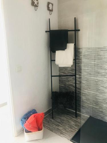 a bathroom with a towel rack and a shower at Olas de Lobos in Corralejo