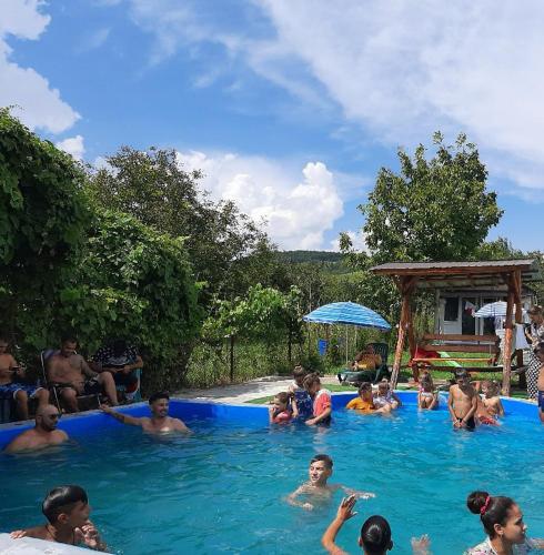 a group of people in a swimming pool at CAZARE LA ESPAÑOLA in Haţeg