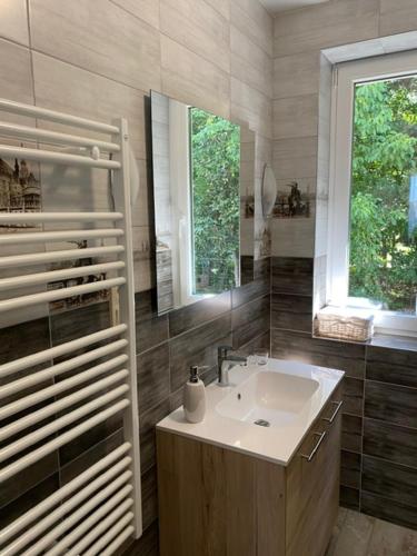 a bathroom with a sink and a window at Dióliget Cottage Sárvár in Sárvár