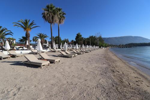 a row of lounge chairs and palm trees on a beach at Onore Luxury Suites in Kato Korakiana