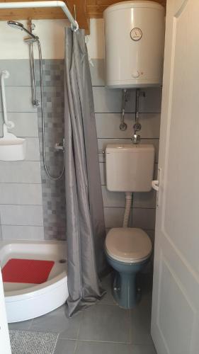 a small bathroom with a toilet and a shower at Miniature house for two in Jezera