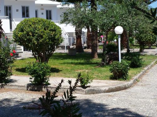 a street light in a park with trees and bushes at Blue Nest Hotel in Tigaki