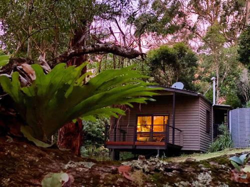 a small house with a window in a forest at Whispering Valley Cottage Retreat in Maleny