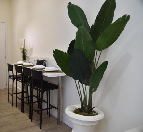 a plant in a white pot next to a table at Pompei Luxury Suite in Pompei
