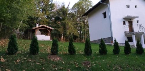 Taman di luar Къща за гости Вила Отдих Vila Otdih