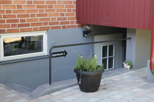 a plant in a pot in front of a building at Kärraton Stugor Centrala Åhus in Åhus