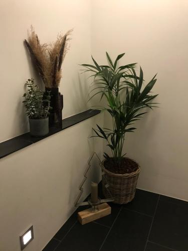 a room with two plants on a wall with a shelf at Herning City Hotel in Herning