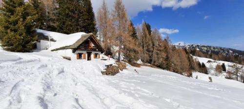 a snow covered cabin on a ski slope with trees at La Baita di Heidi in Craveggia