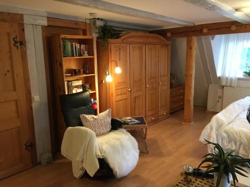 ein Wohnzimmer mit einem Stuhl und einem Bücherregal in der Unterkunft Ferienwohnung Wildenreuth in Weidenberg