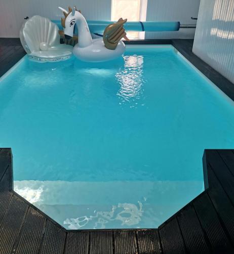 - une piscine avec cygne plastique et canard en caoutchouc dans l'établissement La Maison Blanche, à Blaye
