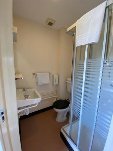 a bathroom with a toilet and a sink and a shower at Bramley guest rooms in Pulborough