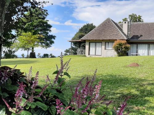 Jardí fora de Highbourne Cottages