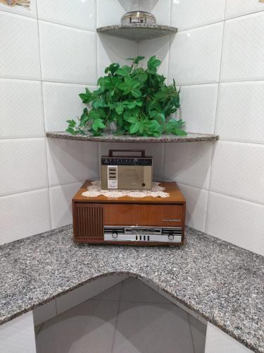 a radio sitting on a counter with a plant at Nonno Ciccio Apartment in Lizzano