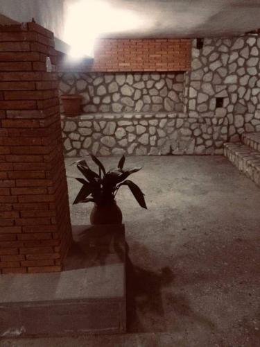 a plant in a room with a stone wall at Guesthouse Raisa in Kvareli