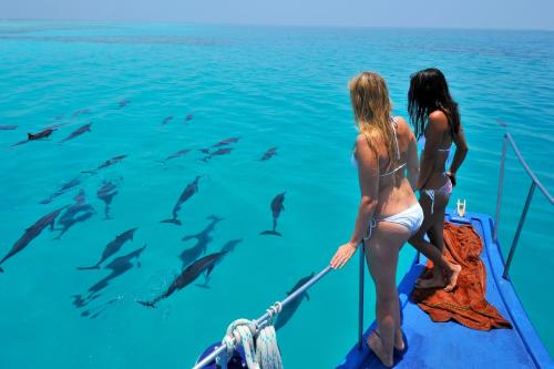 Clientes alojados en Triton Prestige Seaview and Spa