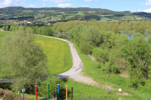 a winding road in the middle of a field at Pension Waldhof am Stubenbergsee in Stubenberg