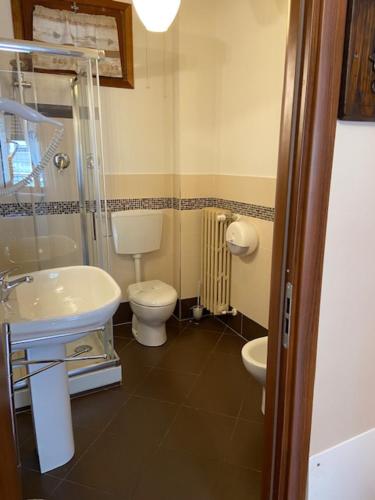 a bathroom with a shower and a toilet and a sink at Affittacamere Buca di Bacco in Pontechianale