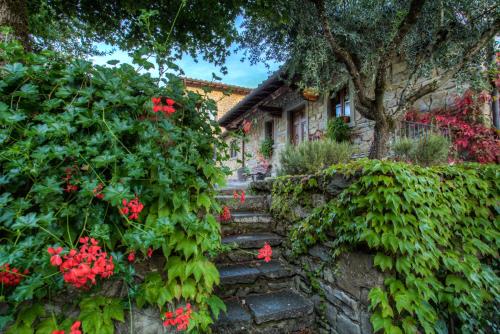 a garden with red flowers and a house at Fattorie di Celli in Poppi