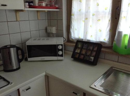 um balcão de cozinha com um micro-ondas e uma janela em Il Pescatore em Marina di Pisa