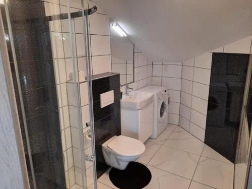 a bathroom with a toilet and a sink and a shower at Apartmán Vimperk in Vimperk