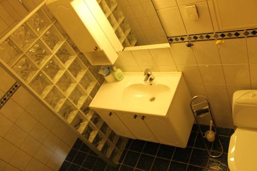 a bathroom with a sink and a toilet at Sildpollnes Sjøcamp in Vestpollen