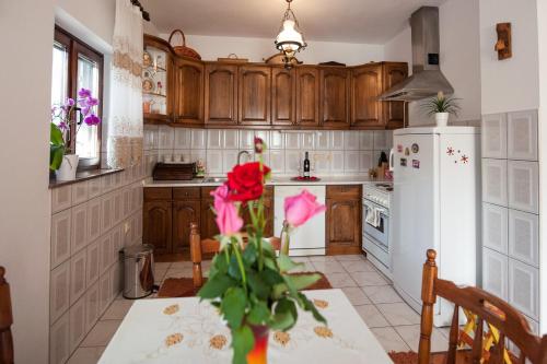 Kuchyň nebo kuchyňský kout v ubytování Apartman Sofija
