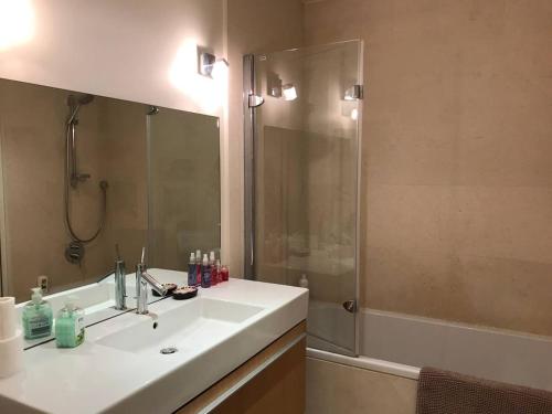 La salle de bains est pourvue d'un lavabo et d'une douche. dans l'établissement Independent One bedroom Apartment, à Antibes
