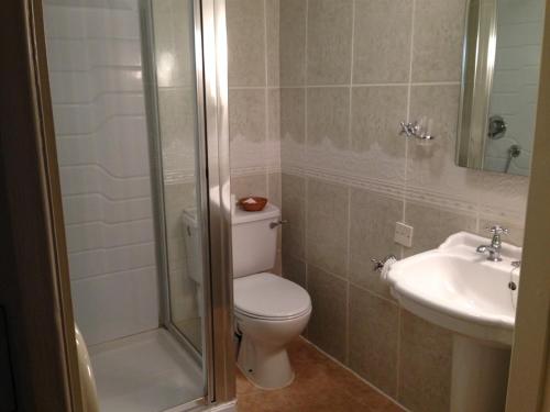 a bathroom with a toilet and a sink at Hardwicke Hall Manor Hotel in Hartlepool