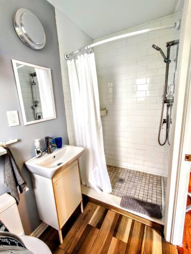 a bathroom with a shower and a sink at Salmon River Motel in Shannonville