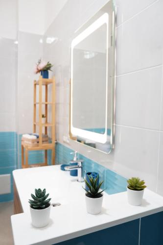 a bathroom with a sink with potted plants on it at Vesuvius' Lovely Inn in Ercolano