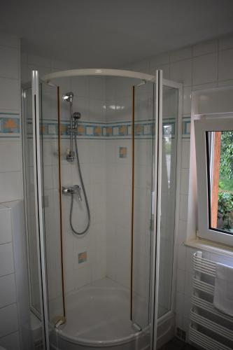 a bathroom with a shower with a glass door at Chez Max Alsace in Saint-Hippolyte