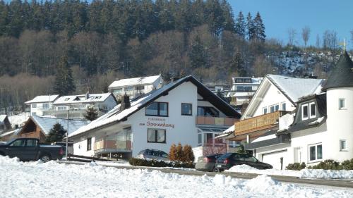 a group of buildings with snow on the ground at Ferienhaus am Sonnenhang in Willingen
