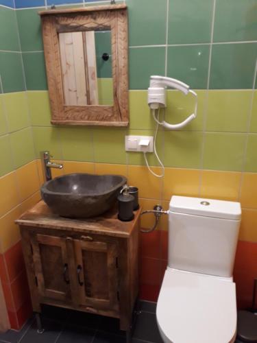 a bathroom with a sink and a toilet and a mirror at Wioska pod Kogutem in Krępa