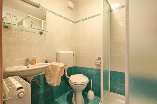 a bathroom with a toilet and a sink and a shower at Apartments Bazjak in Livade