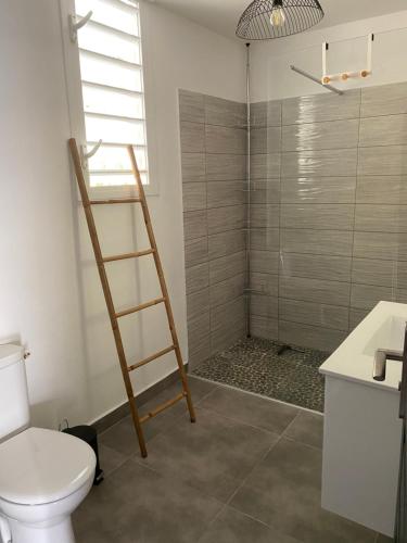 a bathroom with a toilet and a shower with a ladder at VILL'ARBOREE in Les Abymes