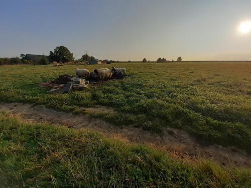 Mynd úr myndasafni af Pension Sodomkův statek Czap í Skuteč