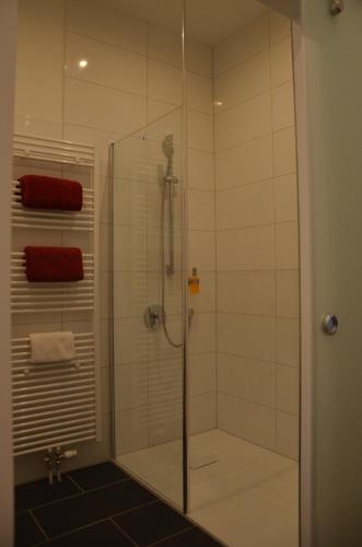 a shower stall with a glass door in a bathroom at Wersauer Hof - Ferme Auberge in Reilingen