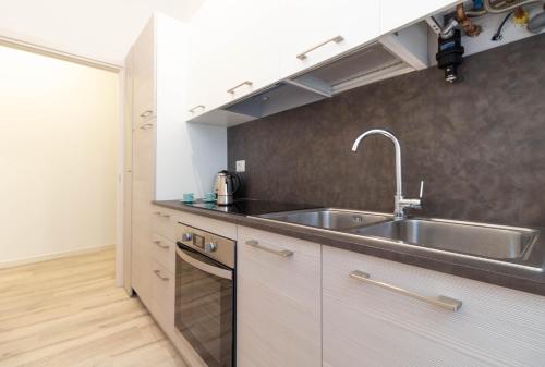 a kitchen with a stainless steel sink and a counter at Le Casette Di Osvaldo in Lecco