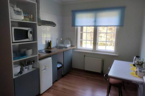a small kitchen with a table and a microwave at The Lake House "Ausatas" in Dobele