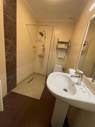 Ένα μπάνιο στο Hotel Zorepad