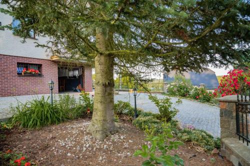a tree in a garden next to a brick building at Mira - Mira pokoje z widokiem na jezioro in Chmielno